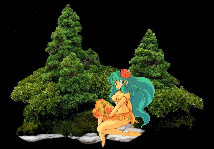 Lum With Plants